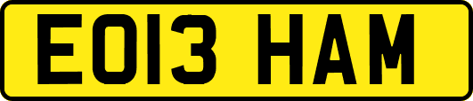 EO13HAM