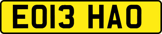 EO13HAO