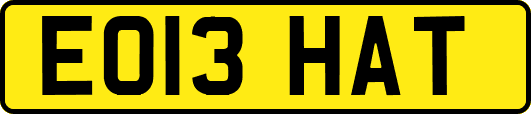 EO13HAT