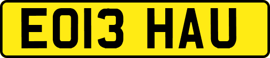 EO13HAU