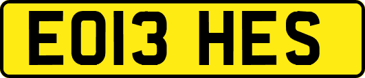 EO13HES