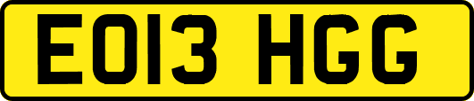 EO13HGG