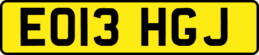EO13HGJ