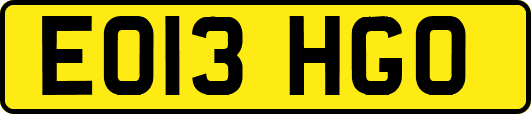 EO13HGO