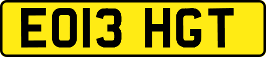EO13HGT