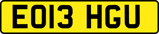 EO13HGU