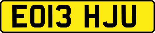 EO13HJU