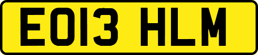 EO13HLM