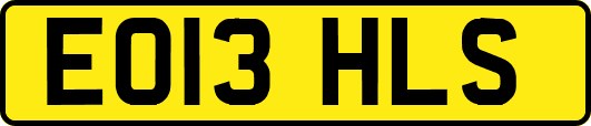 EO13HLS