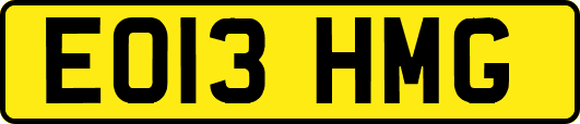 EO13HMG