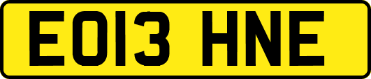 EO13HNE