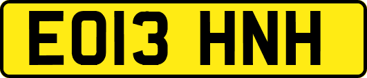 EO13HNH