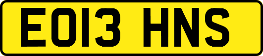 EO13HNS