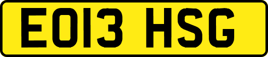 EO13HSG
