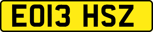 EO13HSZ