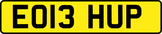 EO13HUP