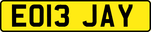EO13JAY