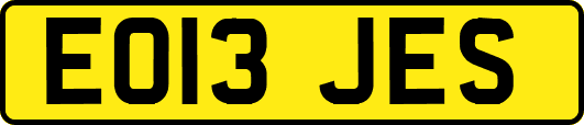 EO13JES