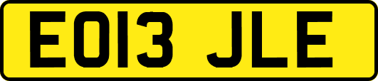 EO13JLE