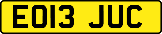 EO13JUC