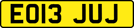 EO13JUJ