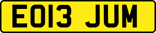 EO13JUM