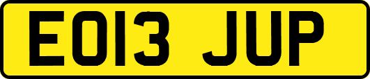 EO13JUP