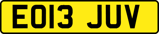 EO13JUV