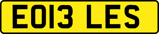EO13LES