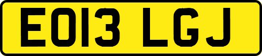 EO13LGJ