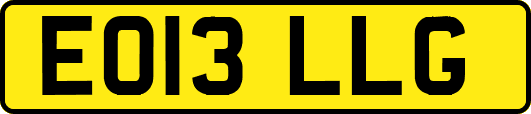 EO13LLG
