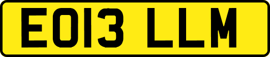 EO13LLM