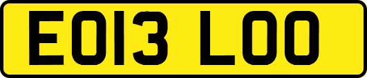 EO13LOO