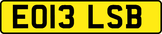 EO13LSB