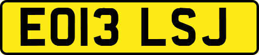 EO13LSJ