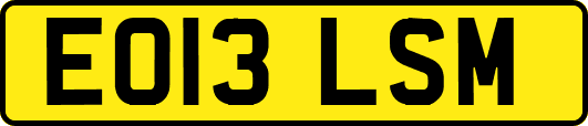 EO13LSM