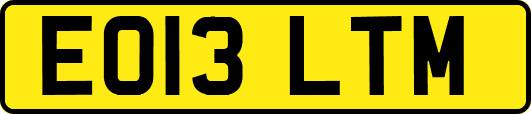 EO13LTM