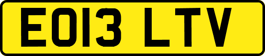 EO13LTV