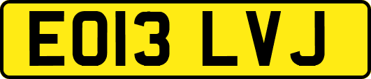 EO13LVJ
