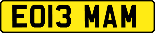 EO13MAM