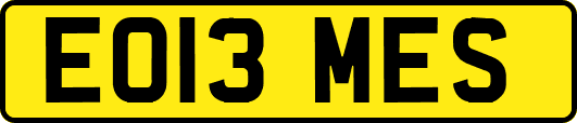 EO13MES