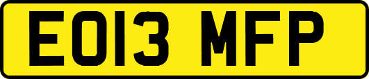 EO13MFP