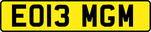 EO13MGM