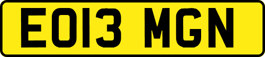 EO13MGN