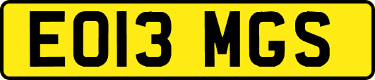 EO13MGS