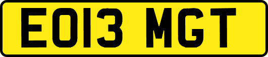 EO13MGT