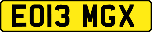 EO13MGX
