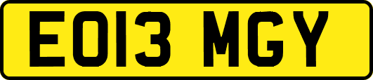 EO13MGY