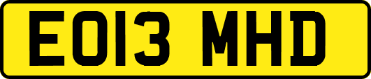 EO13MHD