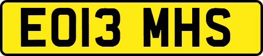 EO13MHS
